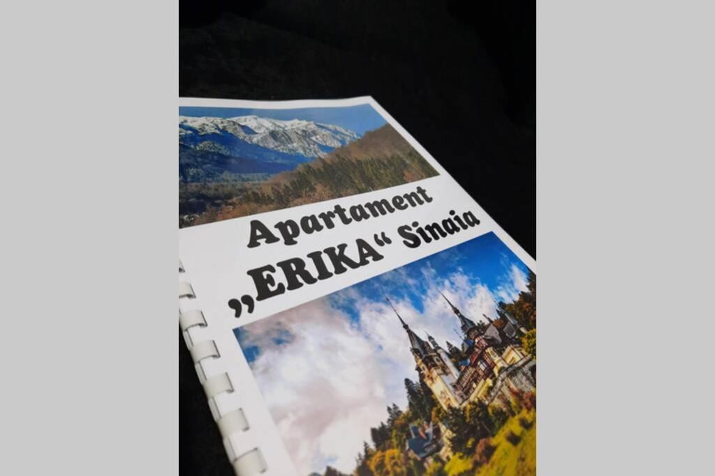 Apartament Erika 锡纳亚 外观 照片