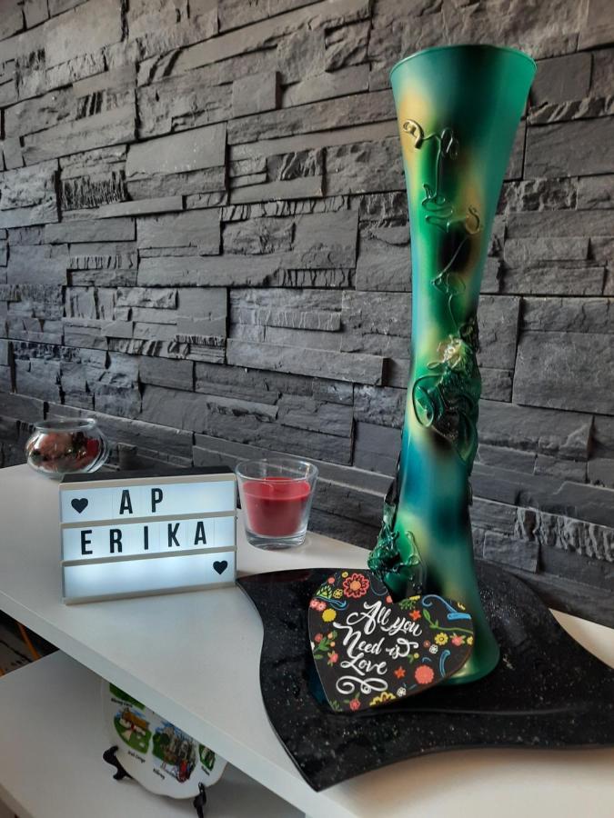 Apartament Erika 锡纳亚 外观 照片