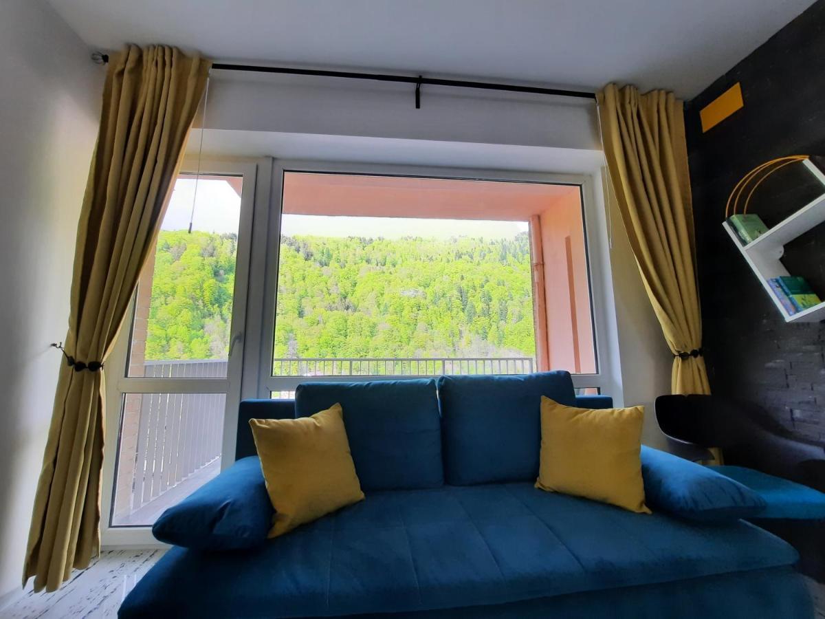 Apartament Erika 锡纳亚 外观 照片