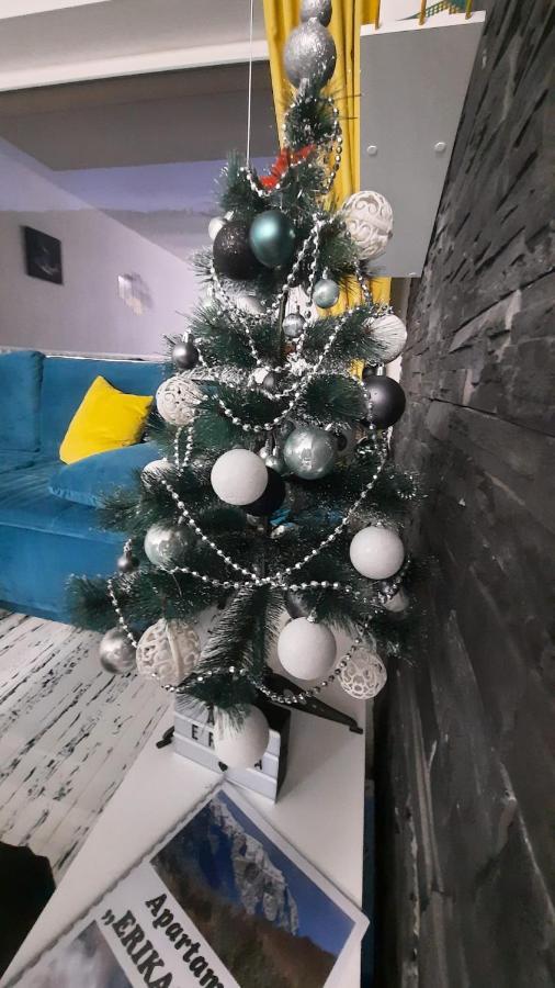 Apartament Erika 锡纳亚 外观 照片